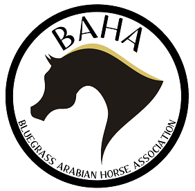 arabian horse show logo BAHA